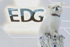 EDG队宠Nice去了汪星？昨晚Nice微博账号更新：永远爱奈奈