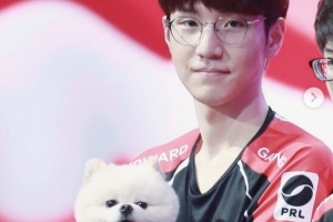 EDG队宠nice去汪星 前队员Ray：现在好好休息 我们来世再相见Nice