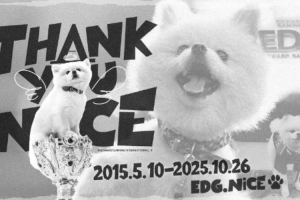 EDG官宣队宠Nice“退役”：最可爱的宝贝正式启程前往下一站汪星