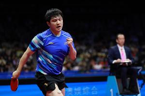 连克世界第一第二！“无排名”樊振东连续击败王楚钦、林诗栋夺冠