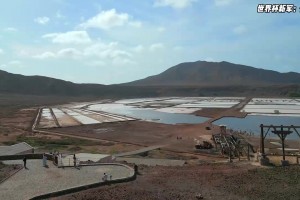 抽象！英格兰女博主分析：英超各队男球迷是什么样的男人！