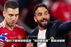 真关系户？阿莫林和达洛特是同一个祖先的后代