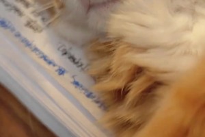 充满了欢笑和默契~吕迪格和弗洛伦蒂诺合影留念！